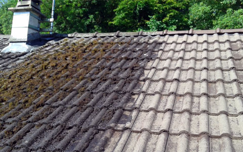 POURQUOI RÉALISER UN DÉMOUSSAGE DE TOIT ?